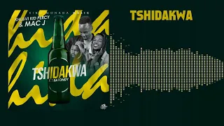 khubvi kid percy u0026 macj ft batondy tshidakwa official audio visualizer 