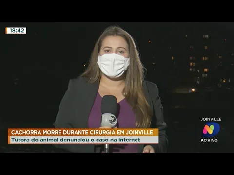 Cachorra morre durante cirurgia em Joinville