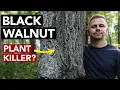 Download Lagu Is Black Walnut Killing Your Plants?