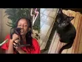 ADOPTING A KITTEN VLOG