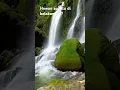 Download Lagu Hewan apa itu.. Buaya di bawah air terjun #music #beach #love #banjir #buaya #siluman