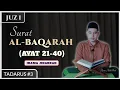 Download Lagu Al Quran Juz 1 - Surat Al Baqarah Ayat 21-40 (arab dan terjemah) | Tadarus Al Quran (3)