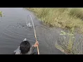 Download Lagu TRADISIONAL FISH..!! TEHNIK MENCARI IKAN YANG HAMPIR TAK TERPAKAI LAGI