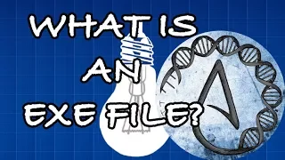 What is an EXE file
