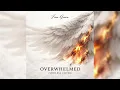Finn Gruva - Overwhelmed SOHLESS Cover