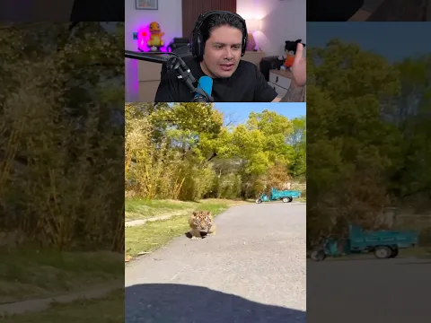 EL PODER DE LA TRANSFORMACIÓN!!