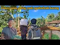 Download Lagu HIDUP DI PEDESAAN || cuaca panas cocoknya ngerujak beubeuk kacang panjang