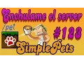 Minecraft Plugin Tutorial SimplePets
