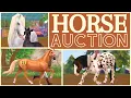 Horse Rescue Auction Did I Bring a Horse Home Star Stable RRP