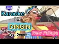 Download Lagu DINGIN Karaoke New Pallapa (cowok) MP3