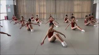 Students doing dance flexibility training