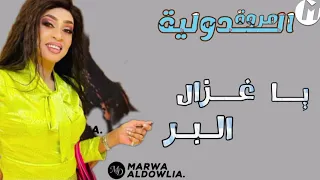 جديد مروة الدولية ـ يا غزال البر ـ ابداع شديد ـ اغاني سودانية في مصر 2023 