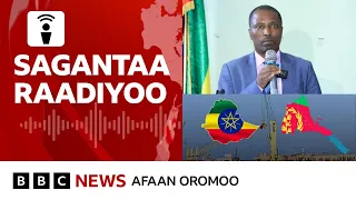 Obbo Taayyee Danda Aatti Balleessaan Muramuu BBC News Afaan Oromoo 
