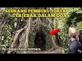 Lagu Ngeri.!! seorang pria tua terjebak dalam goa ditengah pulau terpencil