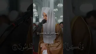 أفأنت تهدي العمي ولو كانوا لا يبصرون عبد الرحمن مسعد قران كريم قرآن المصحف 