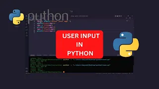 python for beginners User input in Python