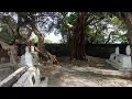 Download Lagu Puncak Bukit Maskumambang, Kediri. Menyimpan jasad tanpa kepala Sang Maling Genthiri