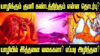 yali history in tamil yaali tamil magic mirror