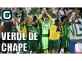 Lagu Palmeiras jogará com uniforme da Chapecoense - Gazeta Esportiva (30/11/16)