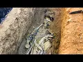 What We Discovered Buried Terrified The Whole World ❌ [ Strange Discovery By Metal Detector ]