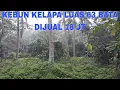 Lagu KEBUN KELAPA LUAS 63 BATA DIJUAL 18 JT