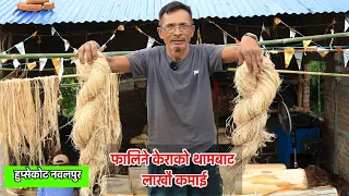 फालिने केराको थामबाट लाखौ कमाई । नवलपुरका महेन्द्रको कथा | Nepal NewsLine