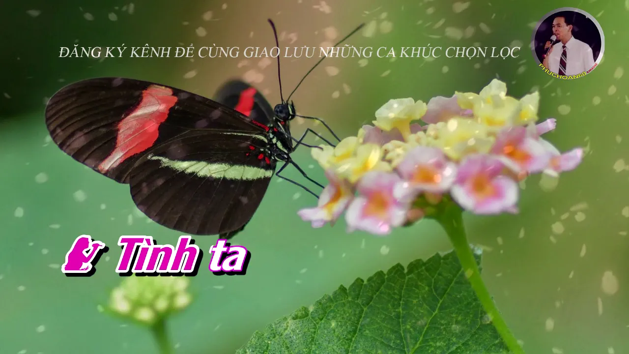 karaoke Anh biết em đi chẳng trở về (beat song ca hay)