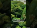Voluntary recall issued for jalapeno products in New Mexico
