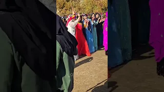 رقص لری با صدای رضا میران 