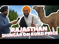 Lagu Saleda TV Presents: Rajasthan Shingar का मज़ेदार अंदाज़! 😆