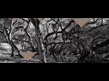 Luke Howard - Open Heart Story