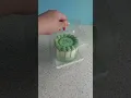 Mini green ombre bento cakes Buttercream Decorating techniques and Ideas Flowers Rose