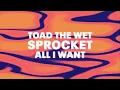 Toad The Wet Sprocket - All I Want (Official Audio)