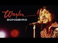 Download Lagu Waylon Jennings - Songbird (Official Music Video)