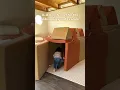4 Build Ideas with 2 Nuggetcomfortcompany sets
