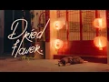 Download Lagu Dried Flower - Mr'พระจันทร์ [Official Music Video]
