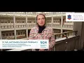 Download Lagu A client's view: EMIS, CEIC \u0026 SGH - Warsaw School of Economics