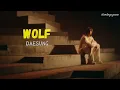 Download Lagu [Vietsub] Wolf - DAESUNG