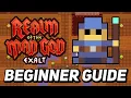 ROTMG Ultimate Beginners Guide in 2026