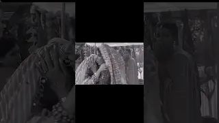 لحظة الانفجار المدمر صدمة تهز عائلة روهيت وأرمان مسلسل دراما هندية مسلسل أمنية وإن تحققت 