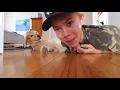 Rest In Peace Kirby - Tanner Fox Tribute