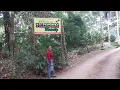 Download Lagu Calby’s Hidden Beauty | Border of St. Mary and St. Ann Jamaica.