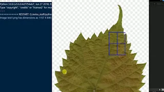 Python Script to manually crop and Save images