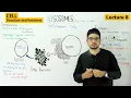 lysosomes structure and function 8