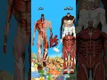 Download Lagu Eren Vs All titans #attackontitan #whoisstrongest #aot