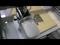 Multi-Line Printing