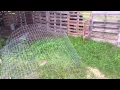 Welded Wire Fence