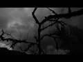 Пабло & Mr Lambo - Детство ( @Питерский ЩИТ VIDEO)