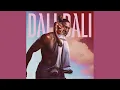 Daliwonga – Abangani Bakho (Official Audio) (ft Shasha, Tyler ICU, Xolani Guitars \u0026 Herc) | AMAPIANO