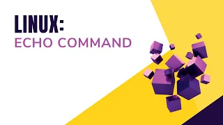 Echo Command Bash Scripting Shell Scripting By Designer Code
